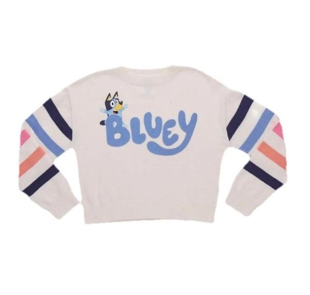 Bluey Girl’s Long Sleeve Graphic Sweater Off White Size 14/16 NWT